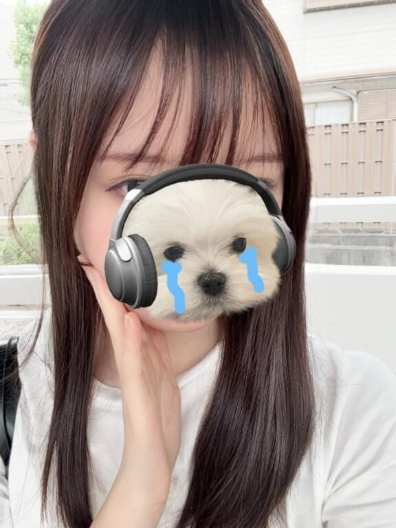 いつもありがとうございます!