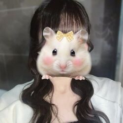 実は、、
