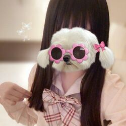 お知らせあります♪