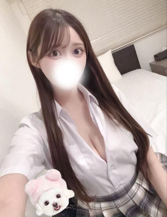 私の只今の案内状況♪