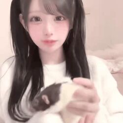 かわいいでしょー
